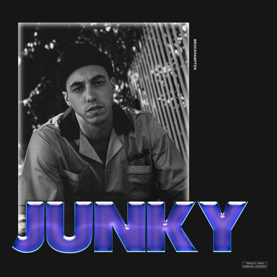 Cover artwork for Junky