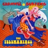 The Telemaniacs - Channel Surfing