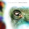 Sankhara - Luca Dell'Anna lyrics