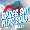 Apres Ski Hits 2019 (Deel 1)