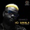 No Wahala (feat. Akon & Runtown) - Demarco lyrics