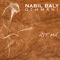Teswa tenere - Nabil Baly Othmani lyrics