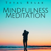 Mindfulness Meditation: Total Relax, Tranquility Spa & Massage Music, Chakra Balancing artwork