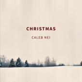 Caleb Nei - The First Noel