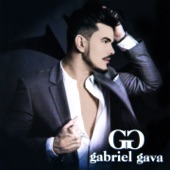 Gabriel Gava artwork