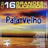 Os 16 Grandes Sucessos de Pala Velho - Série +