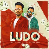 Ludo (feat. Young Desi) artwork