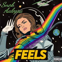 Snoh Aalegra - Nothing Burns Like the Cold (feat. Vince Staples) artwork