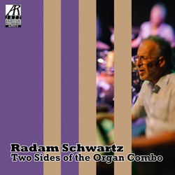 Radam Schwartz - Heartaches