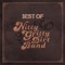 Fire In the Sky (feat. Kenny Loggins) - Nitty Gritty Dirt Band lyrics
