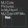 Pictures In My Head (MJ Cole VIP Mix) - Single