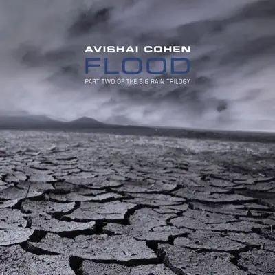 Flood - Avishai Cohen