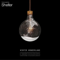 WINTER WONDERLAND cover art