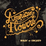 Birds of Chicago - American Flowers (feat. Allison Russell & JT Nero)