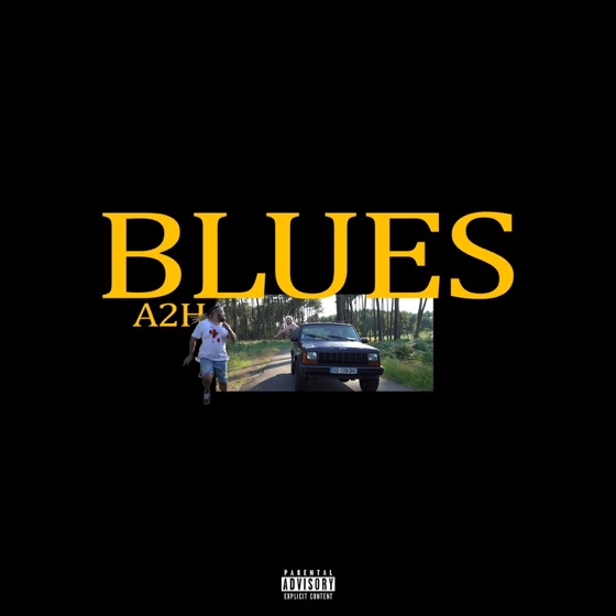 Cover artwork for Blues