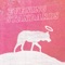 Bottle and the Bone - Evening Standards lyrics