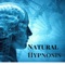 Chinese Music with Healing Power - Hypnosis Academy lyrics