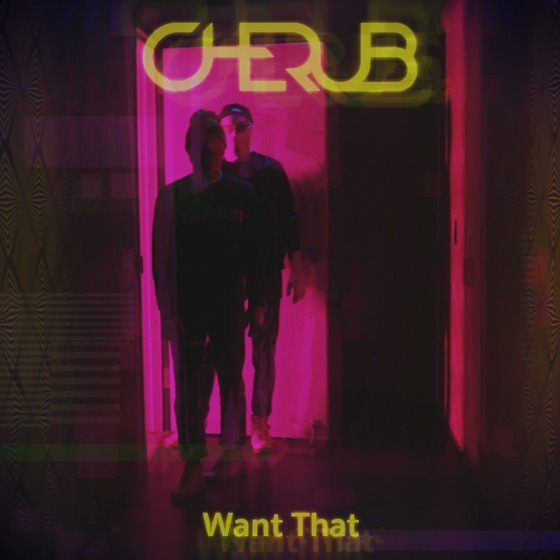 Cover artwork for Want That