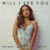 Will I See You artwork