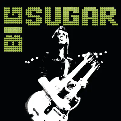 Brothers and Sisters, Are You Ready? (International Version) - Big Sugar