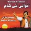 Salim Nehaly - Dil Laga Liya Maine