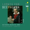 Beethoven Orchester Bonn & Stefan Blunier - Symphony No. 7 in A Major, Op. 92: III. Presto