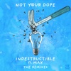Indestructible (feat. MAX) [The Remixes] - Single