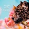 Feelings of Love (feat. Mixusha) - Deep Tone lyrics