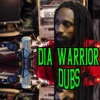 Dia Warrior Dubs, 2004