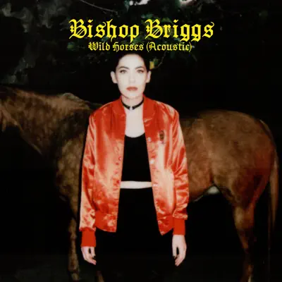 Wild Horses (Acoustic) - Single - Bishop Briggs