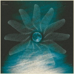 Jani R - Fragile Shell