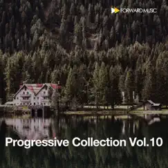 Progressive Collection, Vol. 10 by Martin Roth, Pablo Bolivar & Zone+ album reviews, ratings, credits