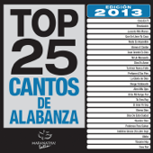 Top 25 Cantos de Alabanza (2013 Edición) - Various Artists