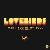 Want You In My Soul (feat. Stee Downes) [Illyus & Barrientos] artwork