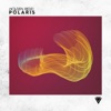 Polaris - Single
