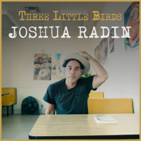 Joshua Radin - Three Little Birds artwork