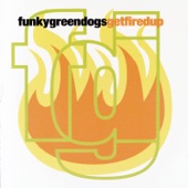 Funky Green Dogs - why?
