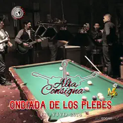 Ondiada de los Plebes - Alta Consigna