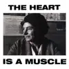 Stream & download The Heart Is a Muscle - Single