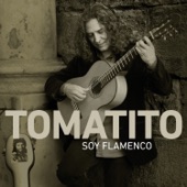 Soy Flamenco (Bulerías) artwork