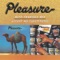 The Love of My Life - Pleasure lyrics