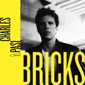 Bricks cover