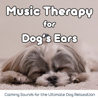 Relax My Dog Music - Music Therapy for Dog's Ears: Calming Sounds for the Ultimate Dog Relaxation artwork