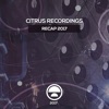 Citrus Recordings Recap 2017, 2017