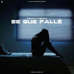 Se que fallé (feat. Fabrizzio) - Single by Sheko album reviews, ratings, credits