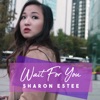 Wait for You - Single