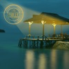 The Chills (Vol.1)