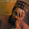 Luiz Melodia - Codinome Beija-flor