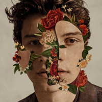 Shawn Mendes - Shawn Mendes artwork