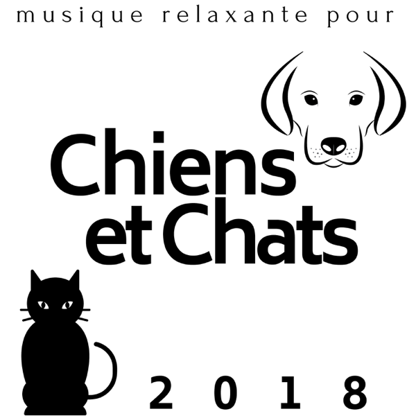 Musique Relaxante Pour Chiens Et Chats 2018 By Angélique Bassy